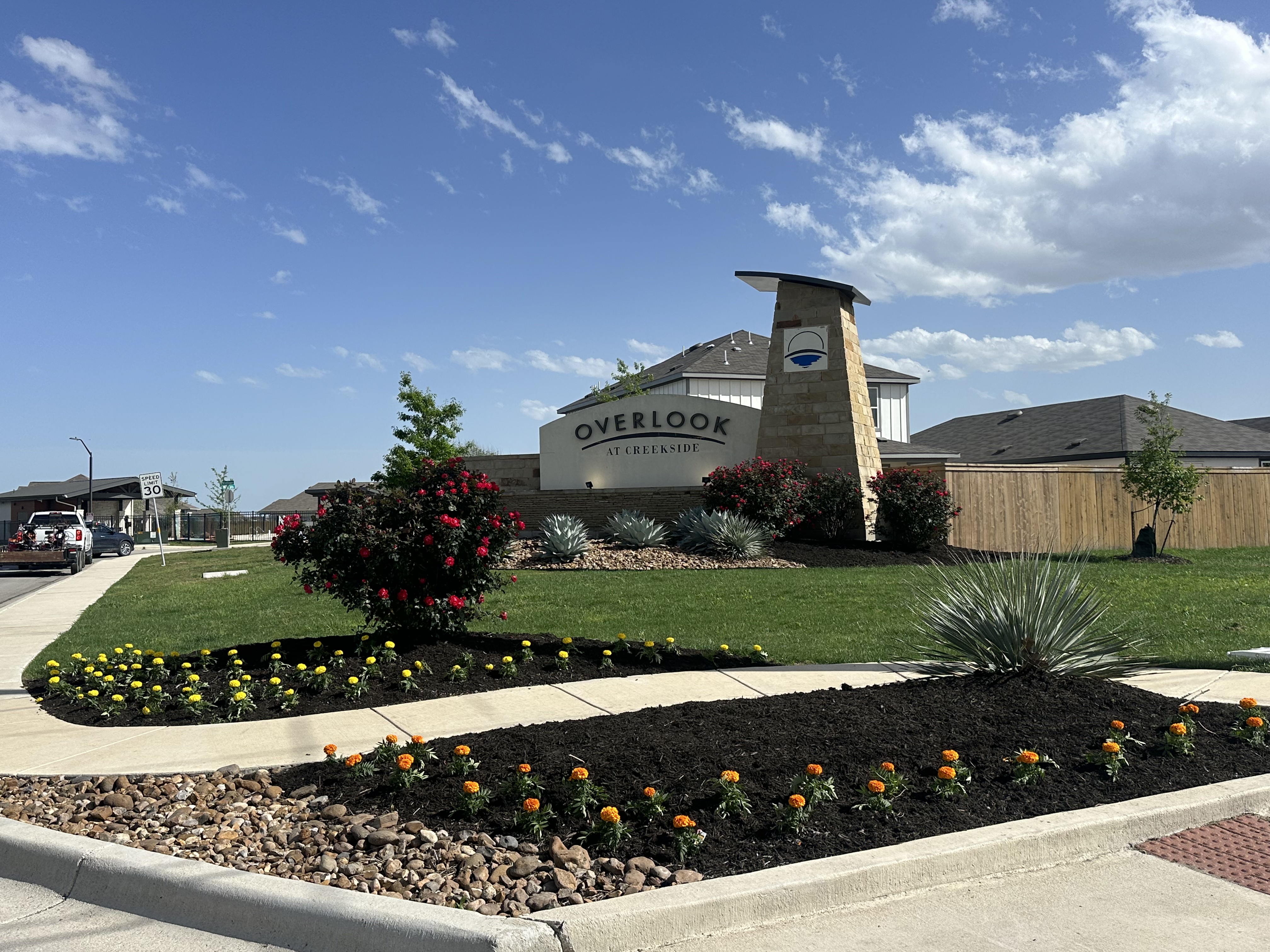 Precision Planting for Custom Commercial Landscaping